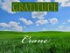 Gratitude