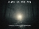 Light in the fog