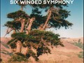 Levitation - Six Winged Symphony - part 2