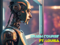 Crash Course (ft. Louisa)