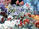 Everything Beautiful