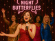 Night Butterflies