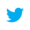 Twitter 推特  logo
